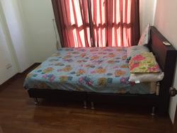 Carissa Park Condominium (D17), Condominium #126401702